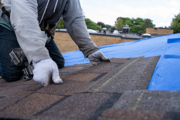Quick and Trustworthy Emergency Roof Repair Services in Newton, IA