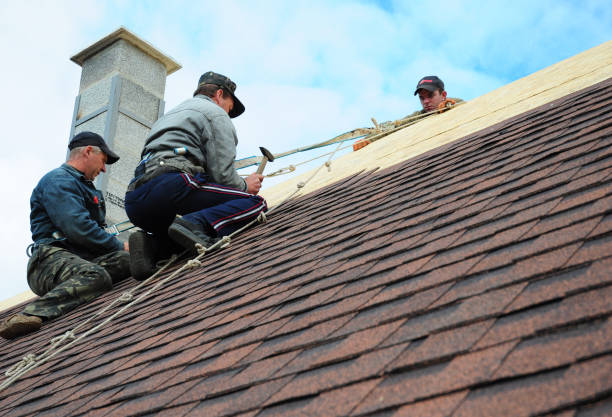Roof Installation Near Me in Newton, IA